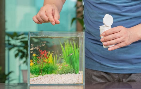 تصویر 3 از قیمت خرید غذا ماهی قرمز خانگی + فروش ویژه